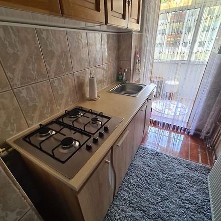 Garsoniera Slanic-Moldova Apartment ภายนอก รูปภาพ