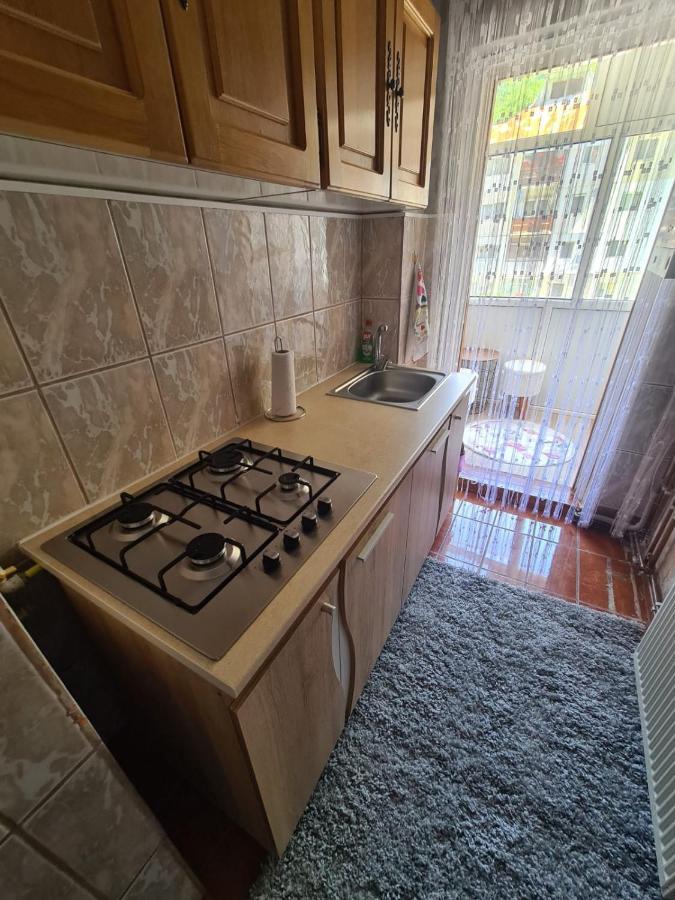 Garsoniera Slanic-Moldova Apartment ภายนอก รูปภาพ